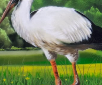 screenshot_20191008-202853_20201029_1017136929
